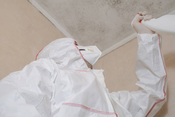 Best Mold Removal Company Near Me  in Middleburg Heights, OH